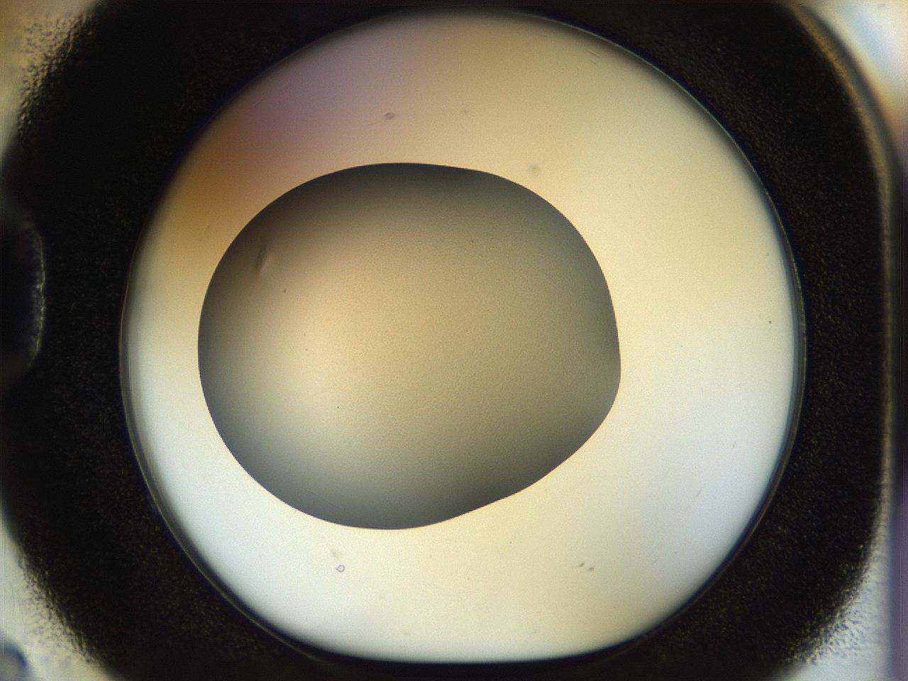 056o_D2_ImagerDefaults_0.jpg
