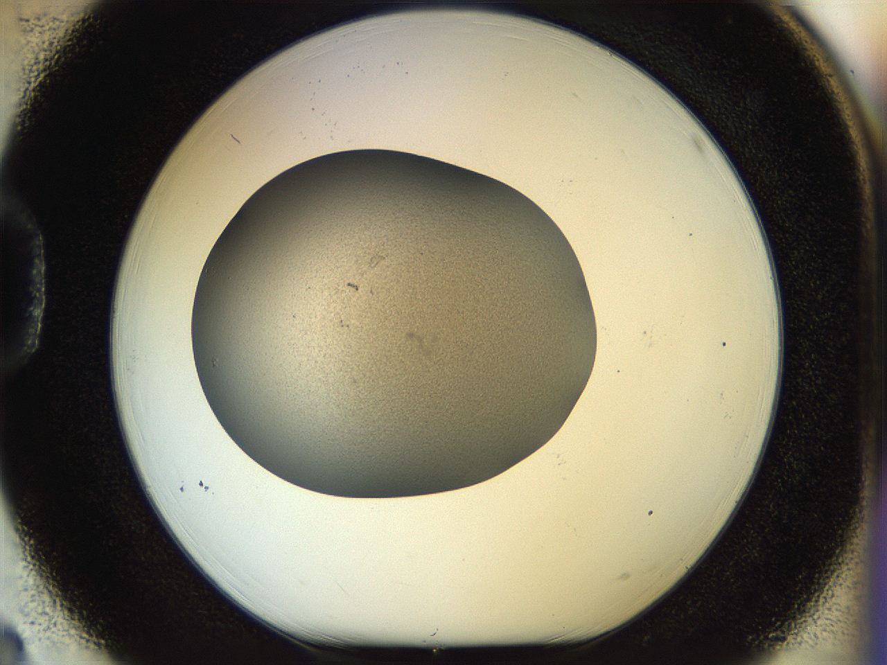 056o_D3_ImagerDefaults_2.jpg