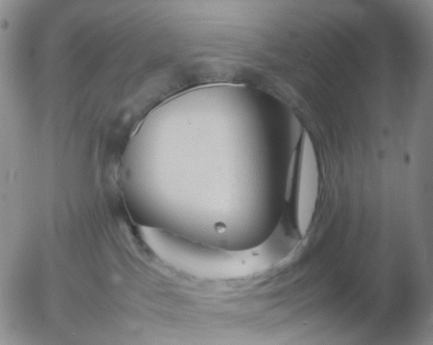 X0000054650045200508091653.png