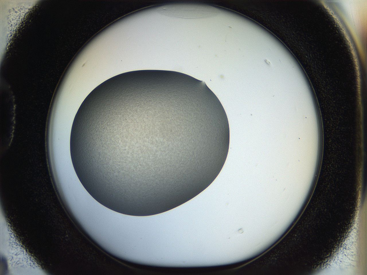 056o_D4_ImagerDefaults_2.jpg