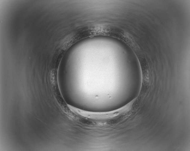 X0000055060715200508161646.png