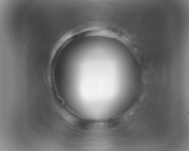 X0000054330152200508111928.png