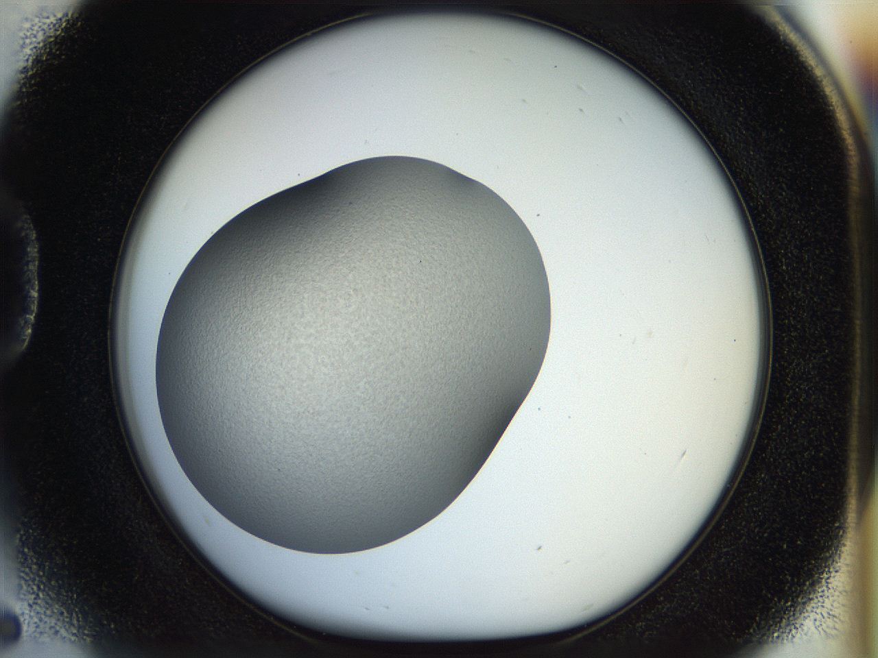 056o_D5_ImagerDefaults_2.jpg