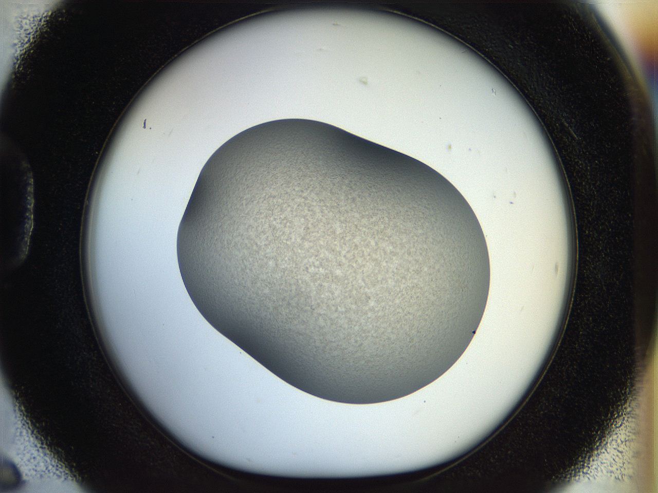 056o_D6_ImagerDefaults_2.jpg