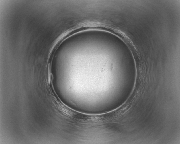 X0000055061175200508161638.png