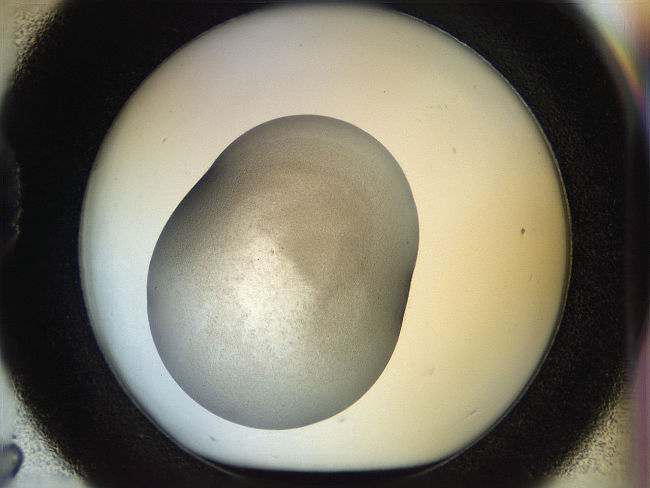 056o_D7_ImagerDefaults_2.jpg