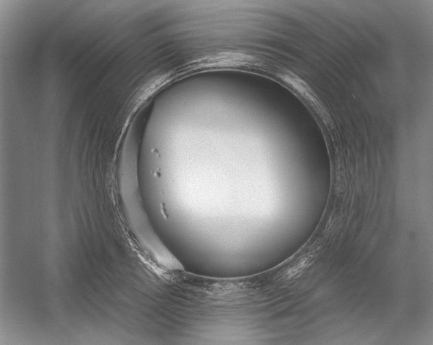X0000055060850200508161644.png