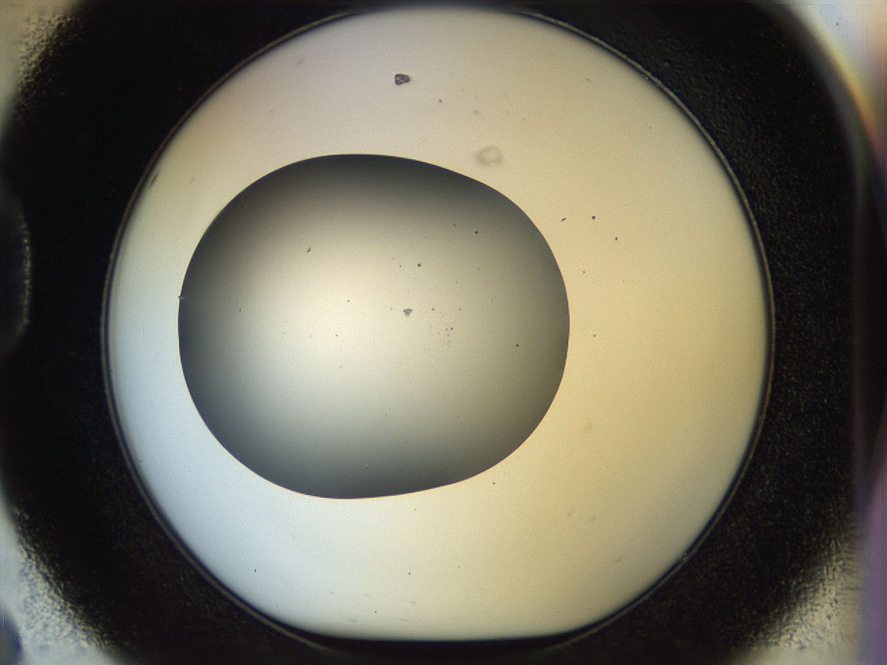 056o_D8_ImagerDefaults_0.jpg