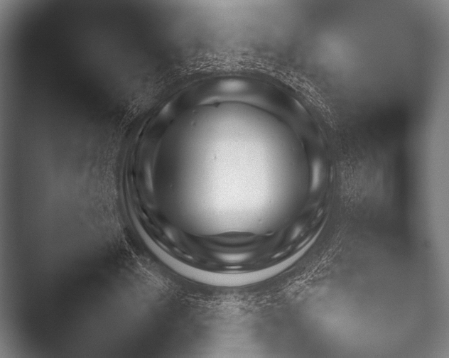 X0000052020489200507181630.png