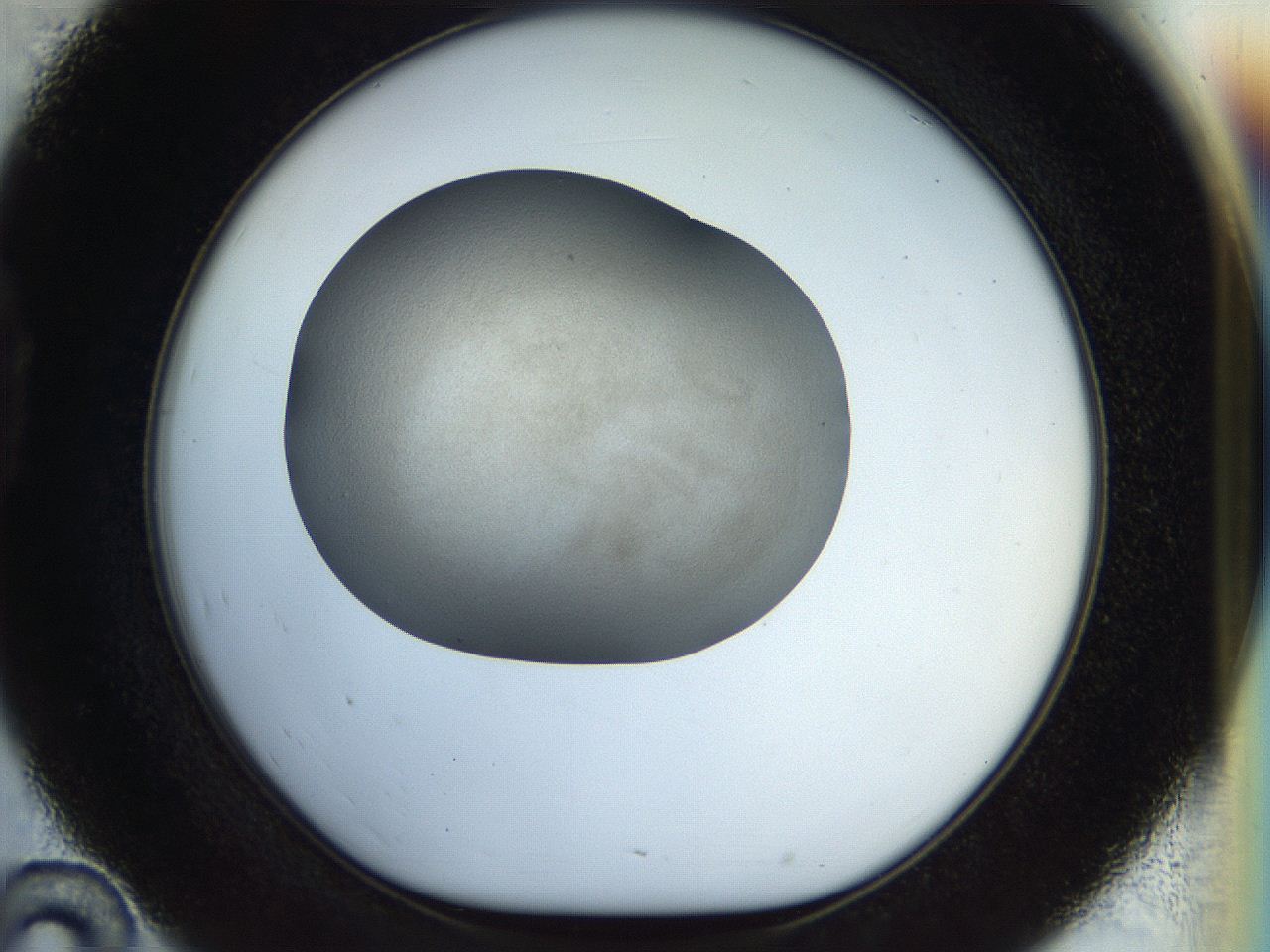056o_D10_ImagerDefaults_2.jpg