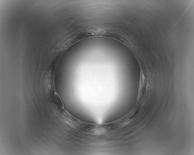 X0000054330604200508111921.png