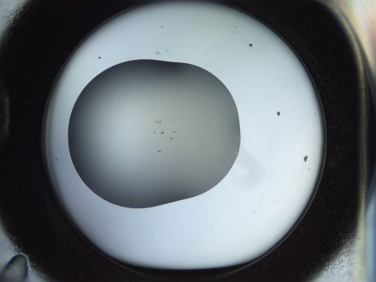 056o_D11_ImagerDefaults_1.jpg