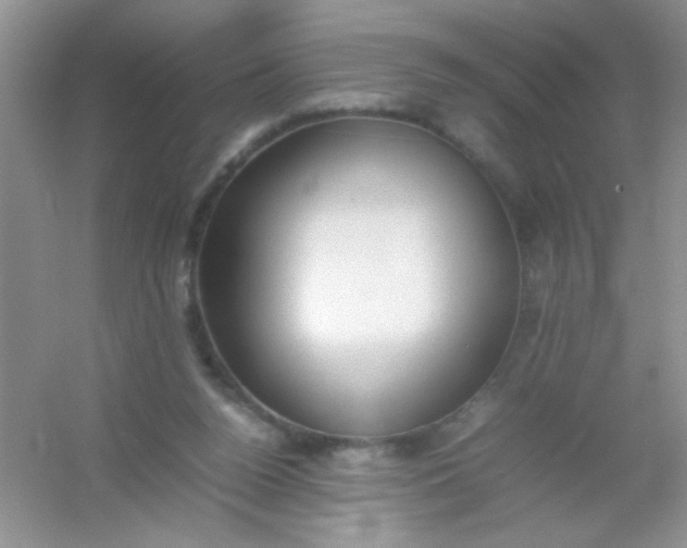 X0000054330160200508111928.png