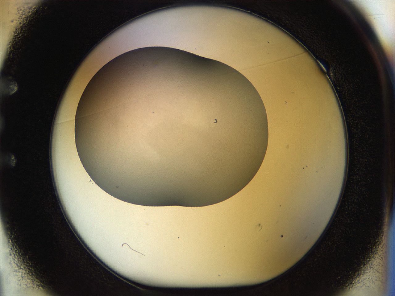 056o_E1_ImagerDefaults_2.jpg