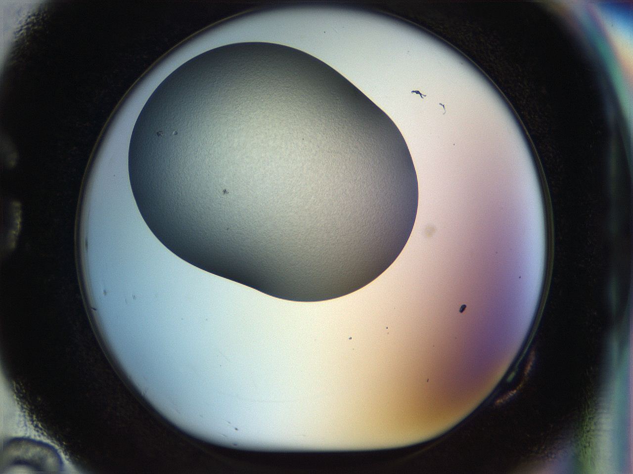 056o_G10_ImagerDefaults_2.jpg