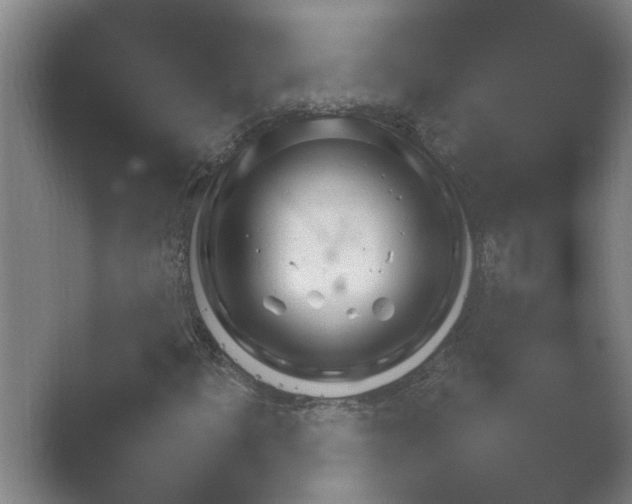 X0000054971300200509051453.png