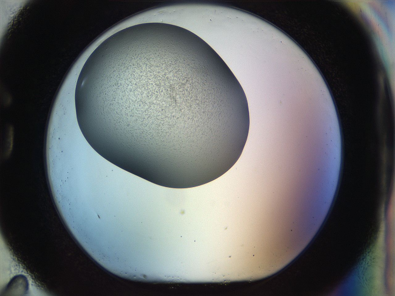 056o_G11_ImagerDefaults_2.jpg
