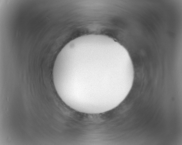 X0000054331249200508111910.png