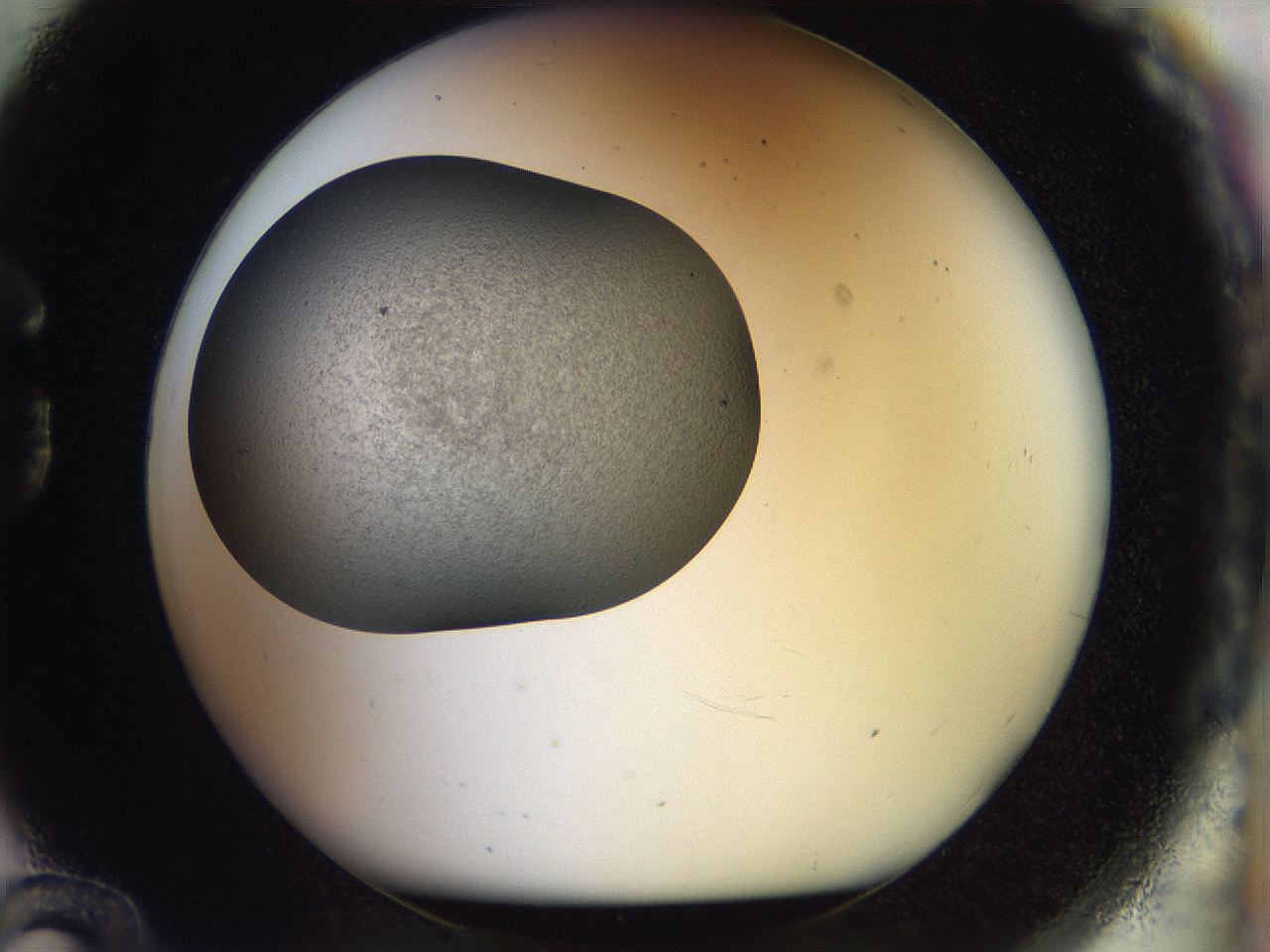 056o_G12_ImagerDefaults_2.jpg