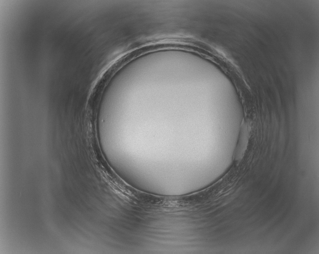 X0000055251360200509071604.png