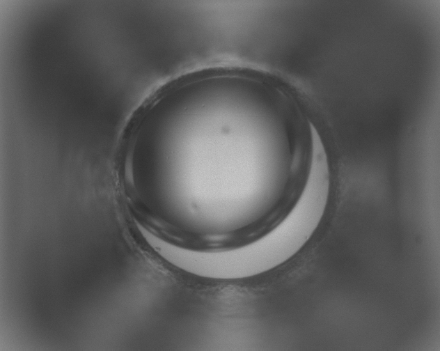 X0000054931318200508291621.png