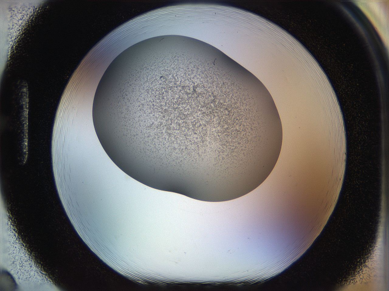 056o_H2_ImagerDefaults_2.jpg