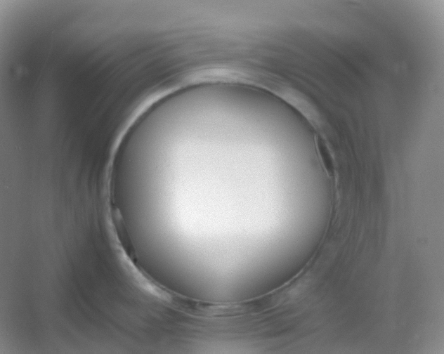 X0000054331392200508111907.png