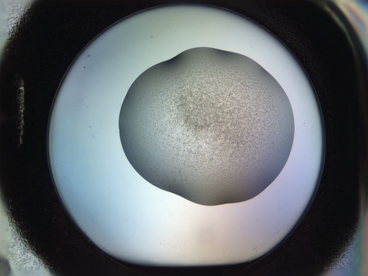 056o_H4_ImagerDefaults_2.jpg