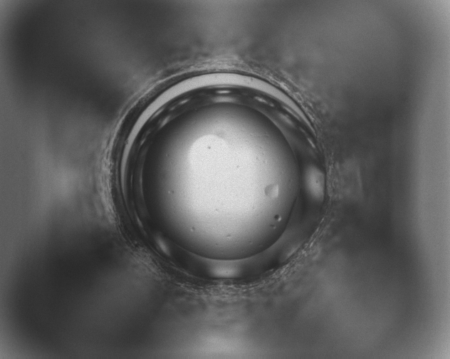 X0000045450152200502011705.png