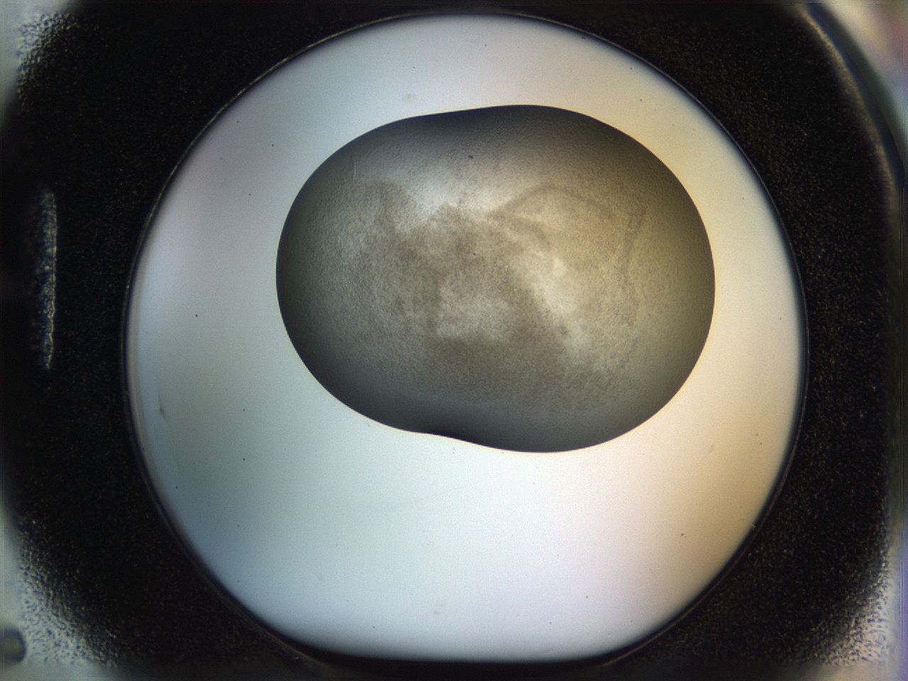 056o_H5_ImagerDefaults_2.jpg