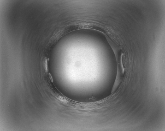 X0000055060041200508161657.png