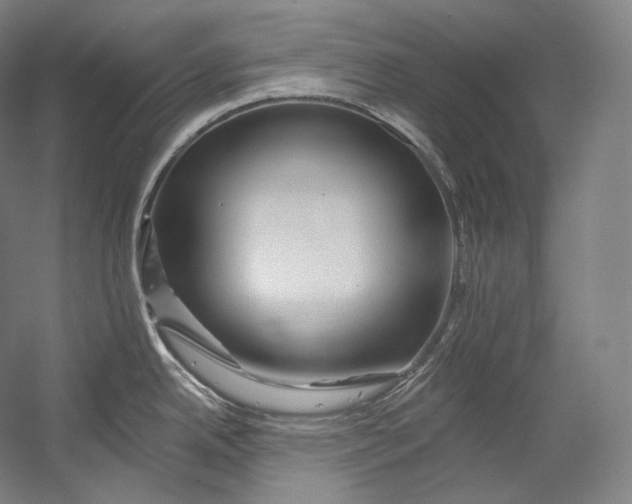 X0000055211342200508301312.png