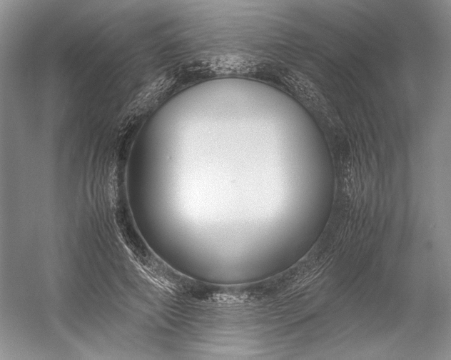 X0000055060690200508161646.png