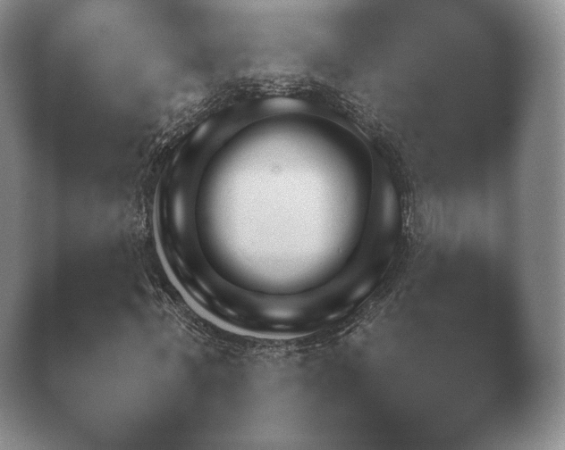 X0000040730771200410201650.png