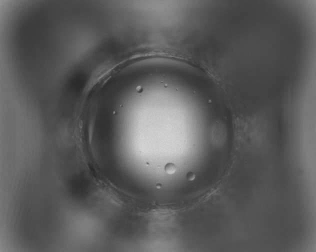 X0000054930150200508291641.png