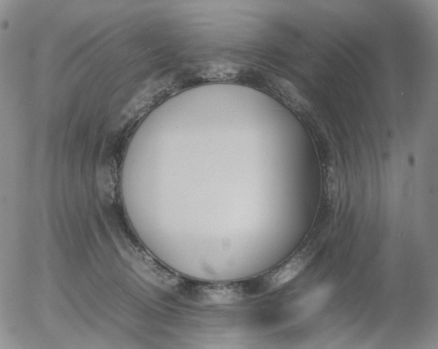X0000054650370200508091648.png