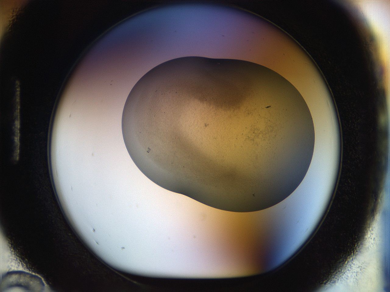 056o_H12_ImagerDefaults_3.jpg