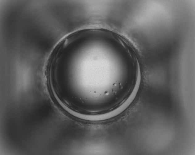 X0000045451468200502011644.png