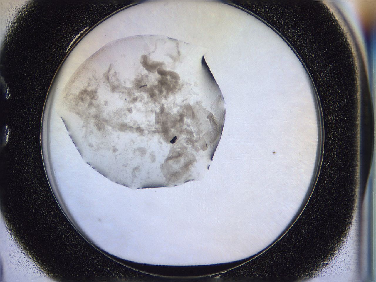 056p_C4_ImagerDefaults_3.jpg