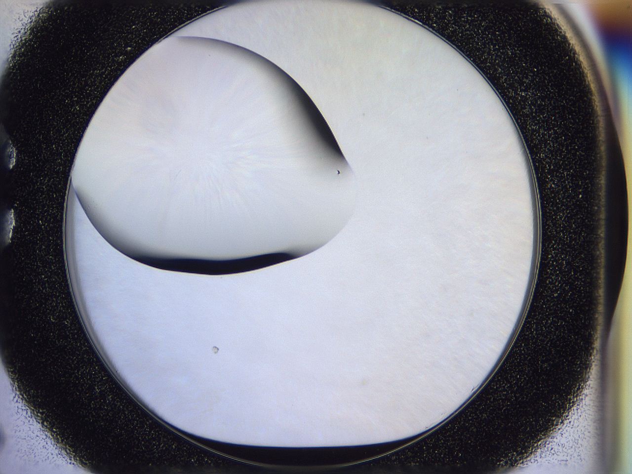 056p_C5_ImagerDefaults_0.jpg