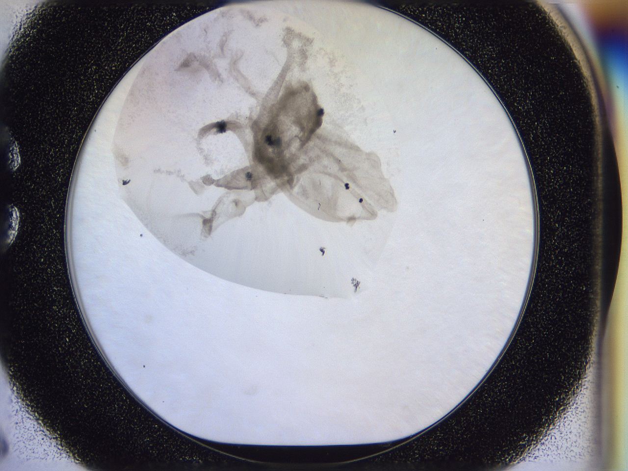 056p_C6_ImagerDefaults_6.jpg