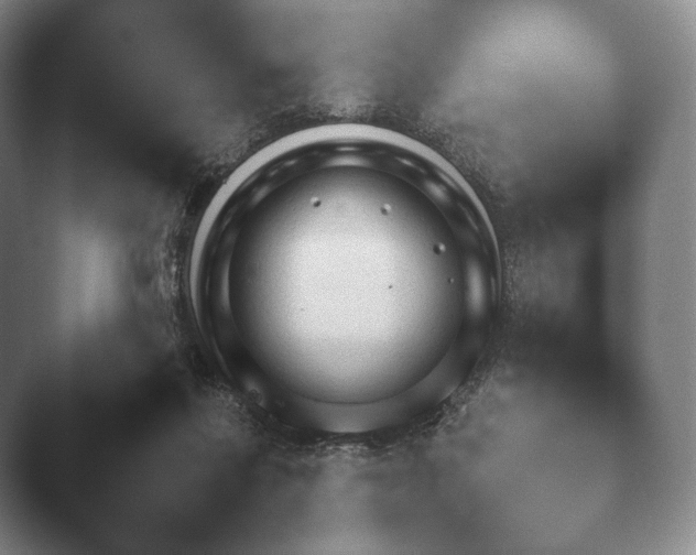 X0000045450262200502011704.png