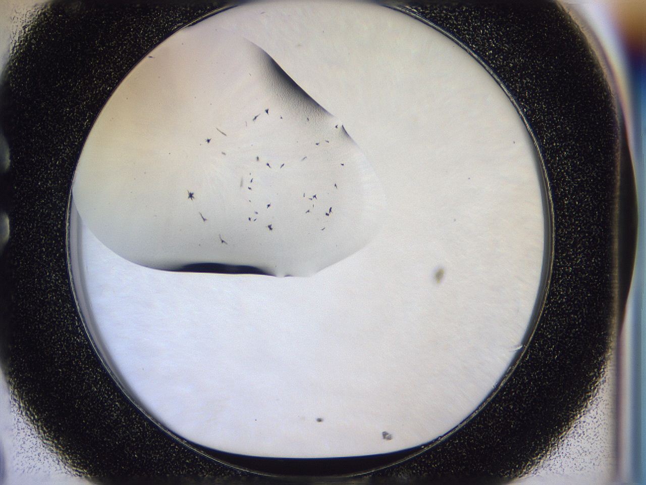 056p_C8_ImagerDefaults_6.jpg