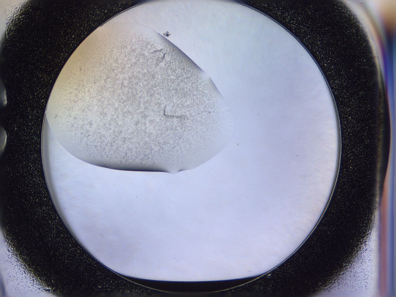 056p_C9_ImagerDefaults_2.jpg