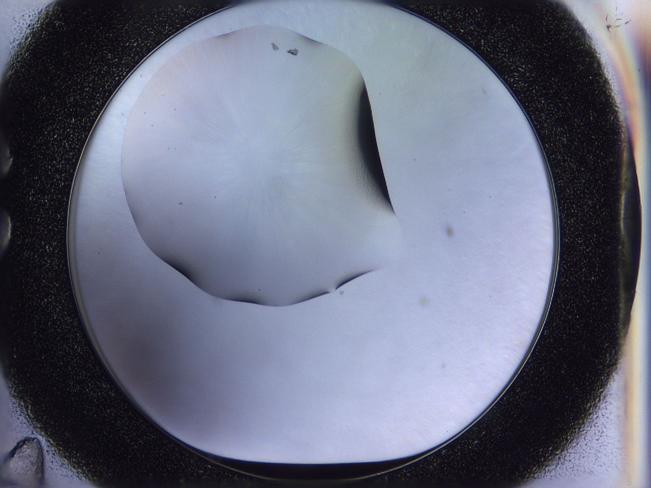 056p_C11_ImagerDefaults_1.jpg