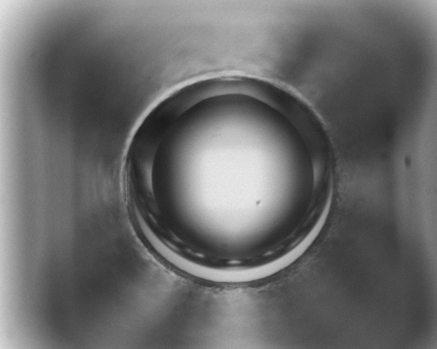 X0000048271516200503171904.png