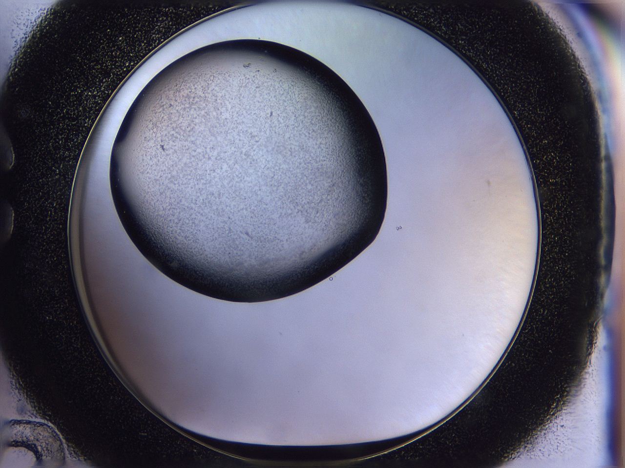 056p_C12_ImagerDefaults_2.jpg