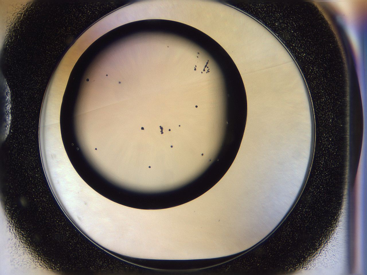 056p_D1_ImagerDefaults_6.jpg