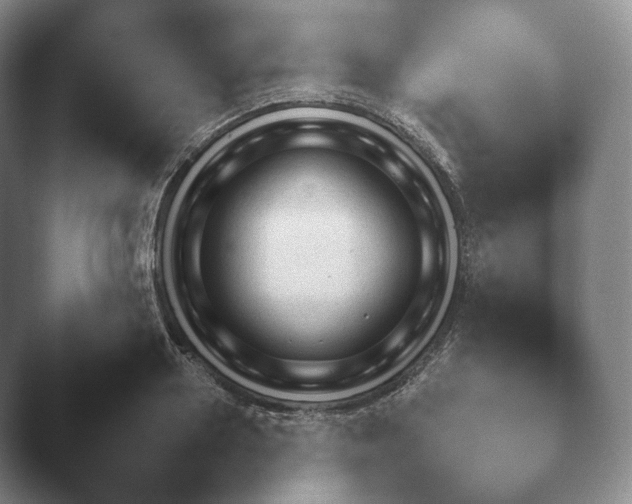 X0000045450938200502011653.png