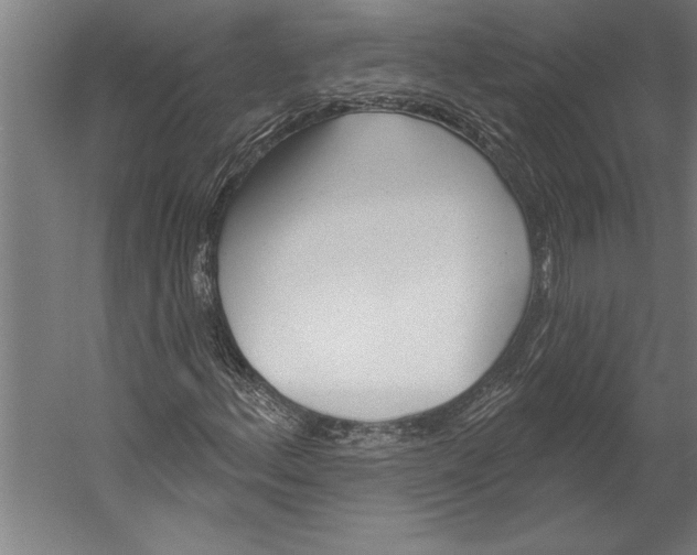 X0000055251156200509071608.png